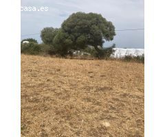 TERRENO RUSTICO EN BARBATE