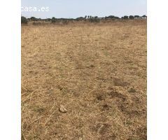 TERRENO RUSTICO EN BARBATE