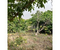 TERRENO URBANO Y RUSTICO CERCANO A VEJER