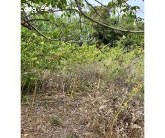 TERRENO URBANO Y RUSTICO CERCANO A VEJER