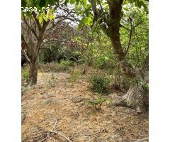 TERRENO URBANO Y RUSTICO CERCANO A VEJER