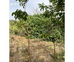 TERRENO URBANO Y RUSTICO CERCANO A VEJER