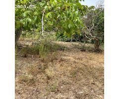 TERRENO URBANO Y RUSTICO CERCANO A VEJER