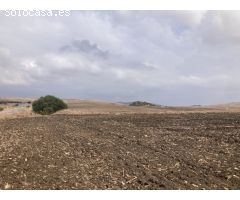 PARCELA RÚSTICA EN LA CARRETERA VEJER- EL PALMAR