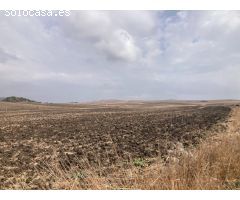 PARCELA RÚSTICA EN LA CARRETERA VEJER- EL PALMAR