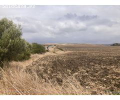 PARCELA RÚSTICA EN LA CARRETERA VEJER- EL PALMAR