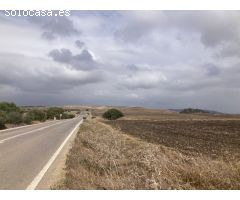 PARCELA RÚSTICA EN LA CARRETERA VEJER- EL PALMAR