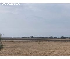 PARCELA RÚSTICA EN LA CARRETERA VEJER- EL PALMAR