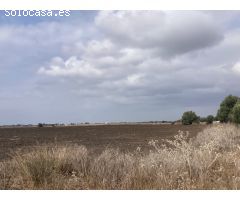 PARCELA RÚSTICA EN LA CARRETERA VEJER- EL PALMAR