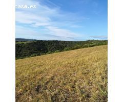 Parcela Rústica 32.000 m2. Zona Patria