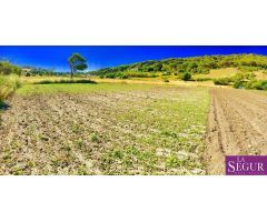 Estupendo terreno en San Ambrosio