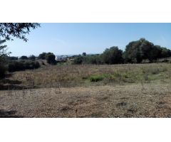 Estupenda Parcela Rústica entre Vejer y Benalup