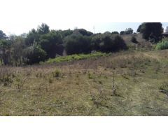 Estupenda Parcela Rústica entre Vejer y Benalup
