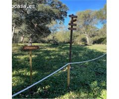 EXCLUSIVA FINCA DE RECREO EN PARQUE DE LOS ALCORNOCALES