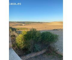 PARCELA CON CONSTRUCCION EN PATERNA