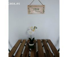 Apartamento en Casco Antiguo