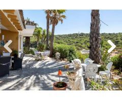 FANTASTICA FINCA CON CASAS EN SAN AMBROSIO