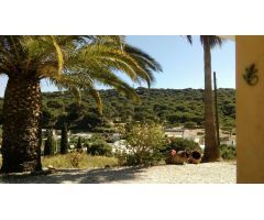 FANTASTICA FINCA CON CASAS EN SAN AMBROSIO