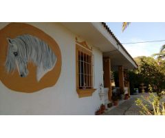 FANTASTICA FINCA CON CASAS EN SAN AMBROSIO