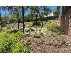 Las mejores parcelas de Sant Feliu del Racó