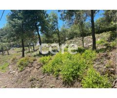 Las mejores parcelas de Sant Feliu del Racó