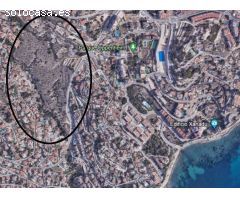 Finca rustica en Venta en Calpe / Calp, Alicante