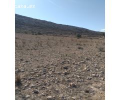 Terreno rústico en Torre del Rico, Jumilla