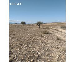 Terreno rústico en Torre del Rico, Jumilla