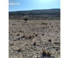 Terreno rústico en Torre del Rico, Jumilla