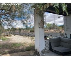 Impresionante finca de 9220 metros con vivienda en Pinoso