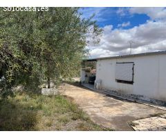 Impresionante finca de 9220 metros con vivienda en Pinoso