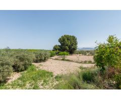 Chalet en Venta en La Fortunada, Murcia