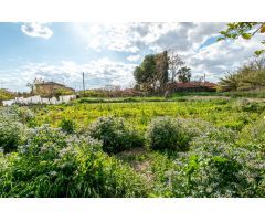 Finca rustica en Guadalupe