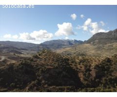 SE VENDE FINCA EN MONTECORTO CON VISTAS A SIERRA DE GRAZALEMA
