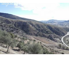 SE VENDE FINCA EN MONTECORTO CON VISTAS A SIERRA DE GRAZALEMA