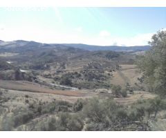 SE VENDE FINCA EN MONTECORTO CON VISTAS A SIERRA DE GRAZALEMA