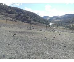 SE VENDE FINCA EN MONTECORTO CON VISTAS A SIERRA DE GRAZALEMA