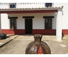 SE VENDE FINCA EN ARCHIDONA