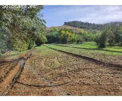 SE VENDE ESTUPENDO TERRENO  EN ZAHARA DE LA SIERRA