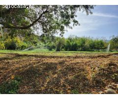 SE VENDE ESTUPENDO TERRENO  EN ZAHARA DE LA SIERRA