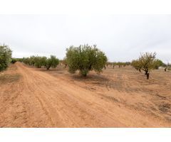 Terreno Escuzar