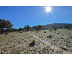 Finca en termino municipal de Lugros.