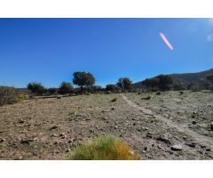 Finca en termino municipal de Lugros.