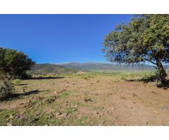 Finca en termino municipal de Lugros.