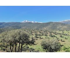 Finca en termino municipal de Lugros.