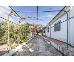 Moraleda de Zafayona -