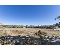 MAGNÍFICA FINCA EN GUADIX