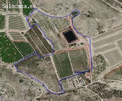 FINCA RUSTICA DE 49500 M2 CON NAVE Y BALSA