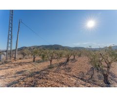 Parcela De Ensueño Con Vista Panorámicas A La Montaña
