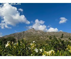 Parcela en Venta en Marbella, Málaga